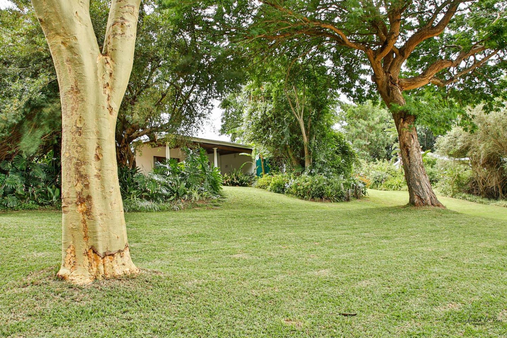Ndlovu Addo River Lodge Kirkwood Extérieur photo